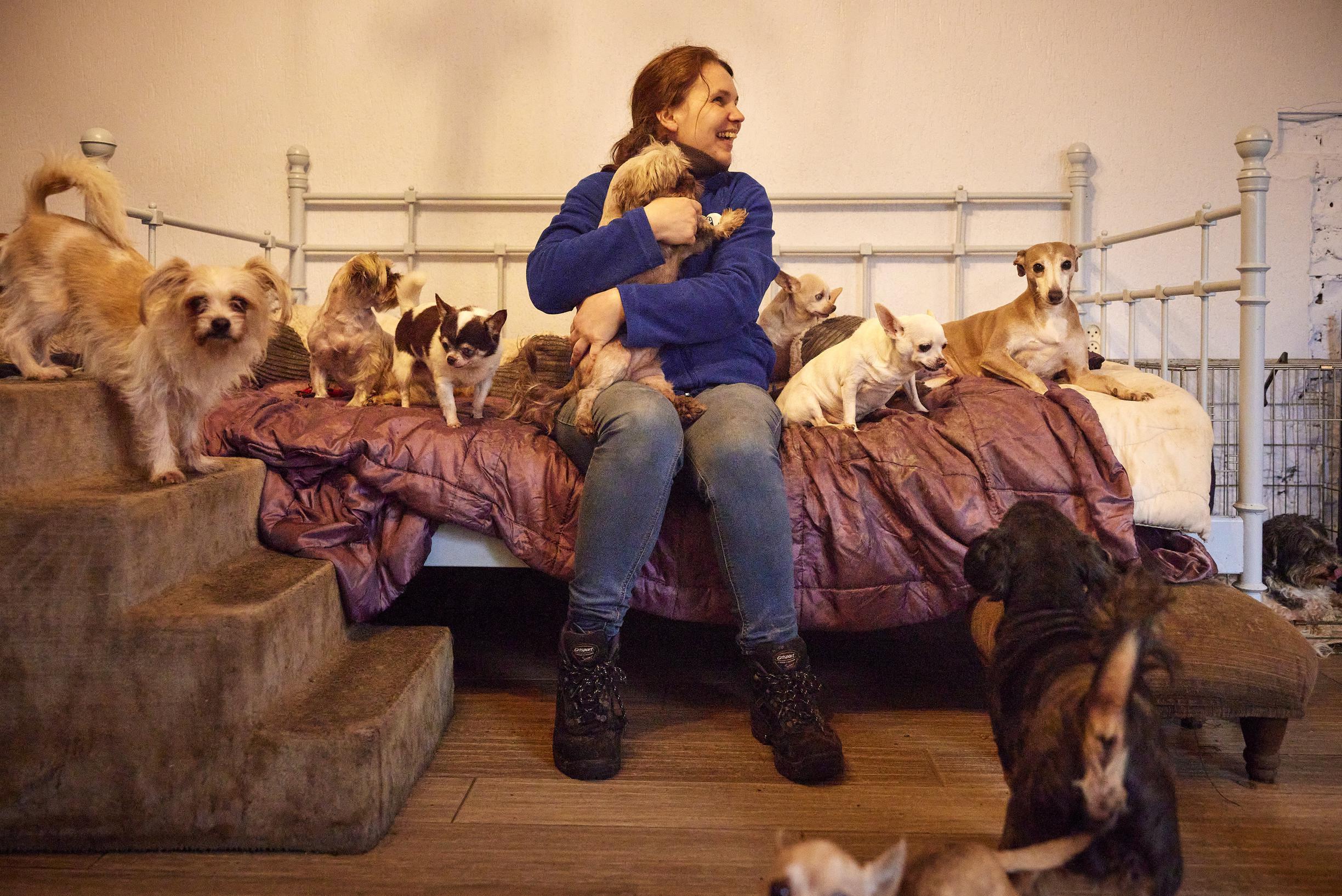 Sandra (45) woont met haar gezin tussen 450 dieren in Stramproy, maar bezwijkt bijna onder de zorg: 